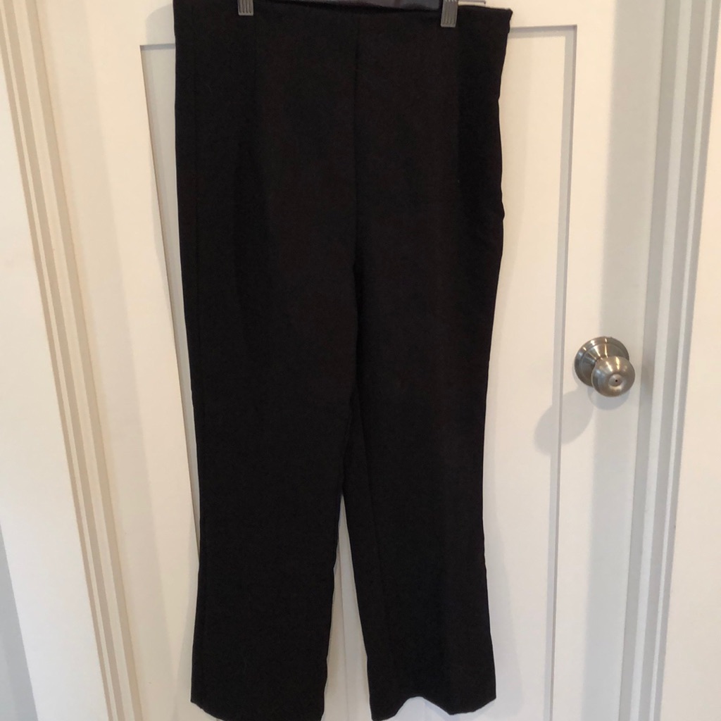 Zara Basic Ankle Pants